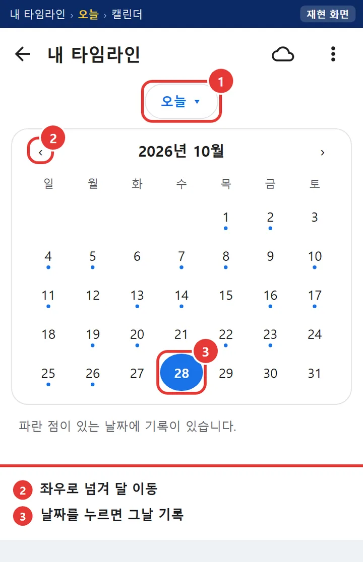 내 타임라인 캘린더에서 기록이 있는 날짜에 파란 점이 표시된 모습